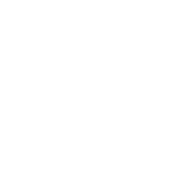 Frisbee