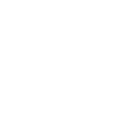 Rai News 24