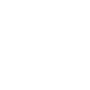 The History Channel